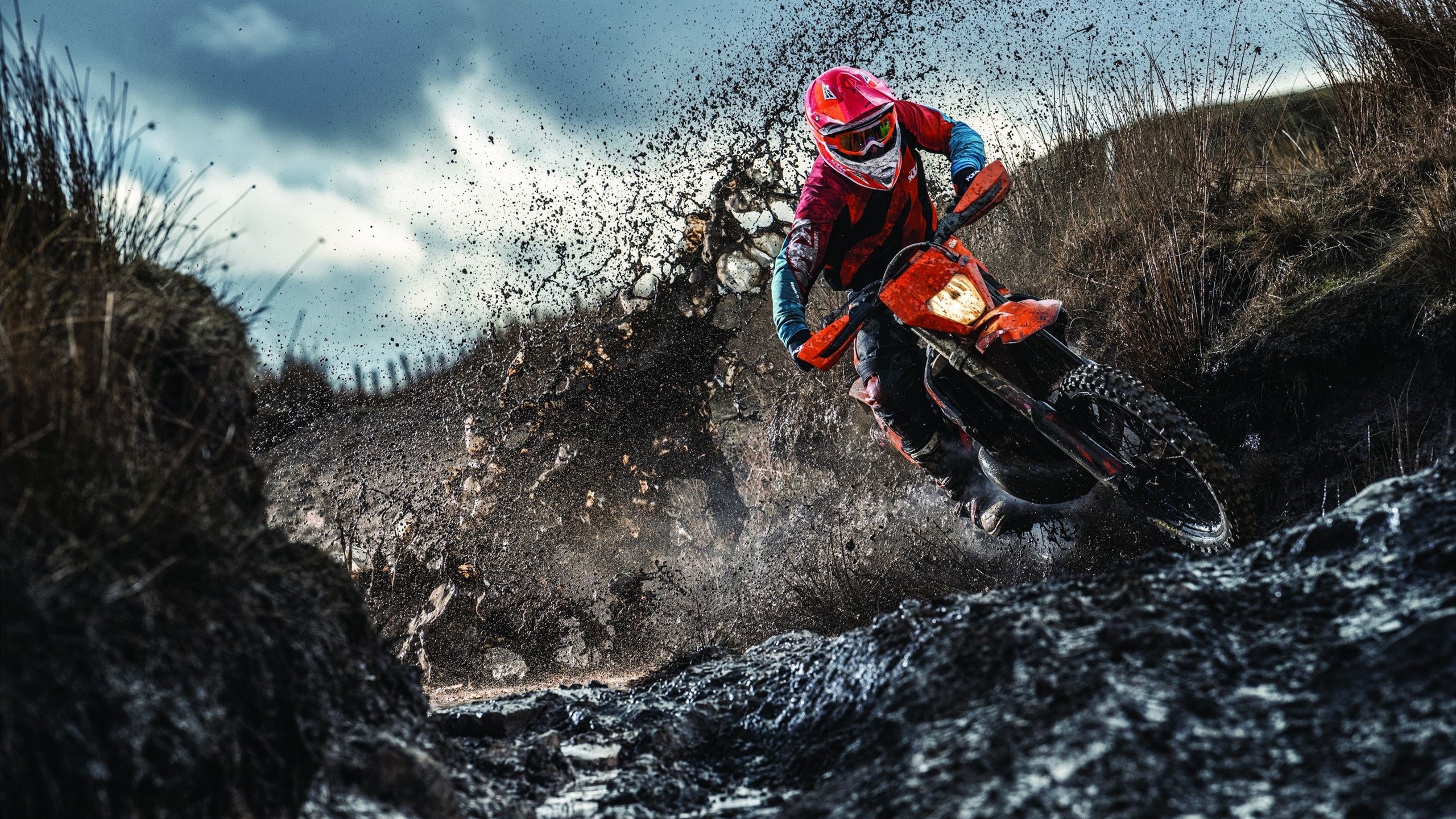 “德甲领头羊战火重燃，压力与日俱增”，德甲阵营