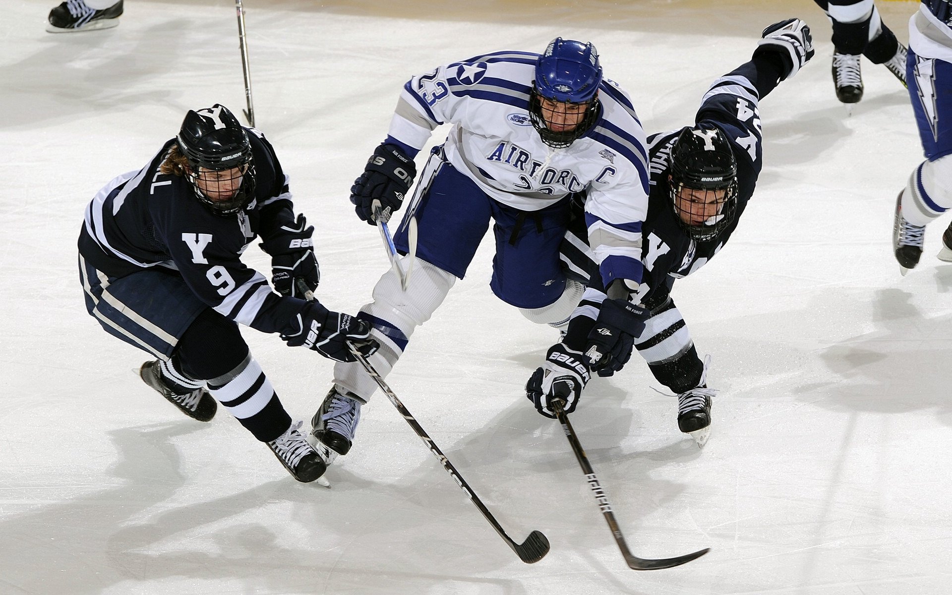 未来希望：全国青少年篮球“冠军特训营”全国巡讲启幕，未来篮球俱乐部